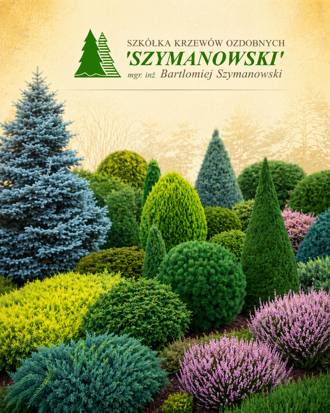 szkolka krzewow ozdobnych SZYMANOWSKI Bartlomiej Szymanowski